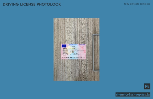Kroatischer Führerschein 2022-heute: Beispielvorschau für die Fotoprüfung